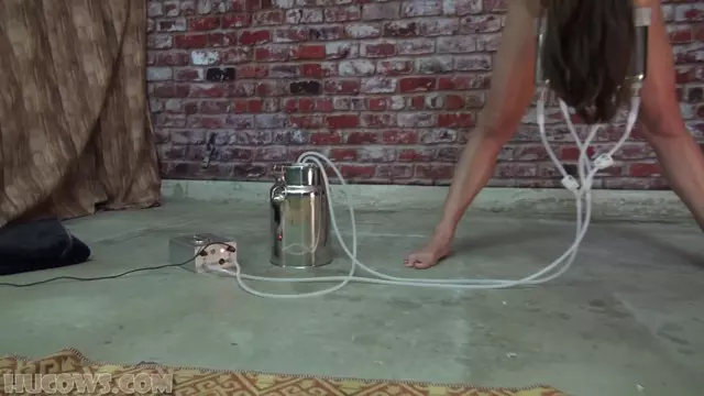 Poster: Indica Jane captured and milked
