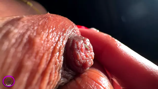 Poster: The Cirilla Emporium - Giantess Cirilla Nip Squish